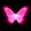 Papillon n�on rose et aura