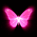 Papillon n�on rose et aura
