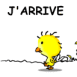 Poussin courant � toute vitesse "J'arrive!'