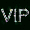 V.I.P. strass scintillant multicolore