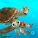 Nemo : Crush et squirt