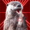 Loutre chantante