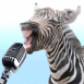 Z�bre chantant