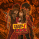 Camp Rock: Shane et Mitchie le duo