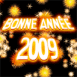 Feu d'artifice "Bonne année 2009"