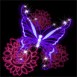 Un papillon qui prend son envol