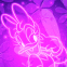 Daisy n�on rose