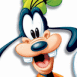 Dingo joyeux