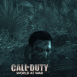 Call of Duty 5: Commando