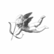 Cupidon