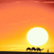 Caravane dans le d�sert