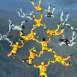 Parachutistes en groupe