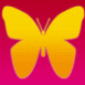 Papillon orange