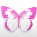 Papillon rose