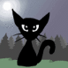 Chat noir dans la nuit