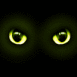 Regard dans le noir