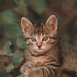 Chaton sur une branche