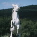 Cheval blanc cabr�