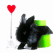 Lapin noir amoureux