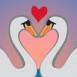 Cygnes amoureux