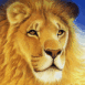 Lion dans le ciel
