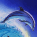 Dauphins chevauchant la vague