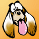 Caniche tirant la langue
