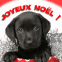 Chiot labrador "Joyeux No�l"