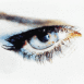 Regard f�minin