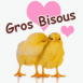 Poussins "Gros bisous"