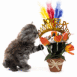 Chat et cadeau de No�l