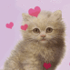 Chaton rouquin avec des coeurs