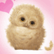 B�b� hibou