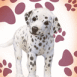 Chiot dalmatien