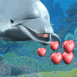 Dauphin soufflant des coeurs