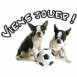 Chiens footballeurs "Viens jouer"