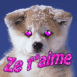 Chien husky b�b� "Ze taime"