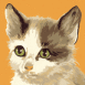 Chaton dessin�