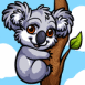 Koala accroch� � une branche