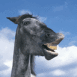 Cheval moqueur