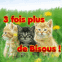 Chatons tripl�s "Trois fois plus de bisous!"