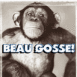 Chimpanz� "Beau gosse!"