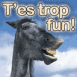 Cheval "T'es trop fun!"