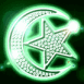 Croissant et �toile n�on vert
