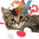 Chaton �tonn�