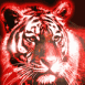 Tigre dans un halo rouge