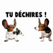 Bassets rigolos "Tu d�chires!"