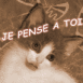 Chaton, couleur s�pia, mention "Je pense � toi"