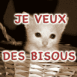 Chaton blanc dans son panier, couleur s�pia, mention "Je veu...