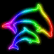 Couple de dauphins n�on multicolore